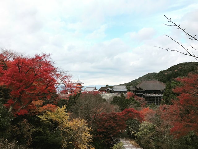 kiyomizu2