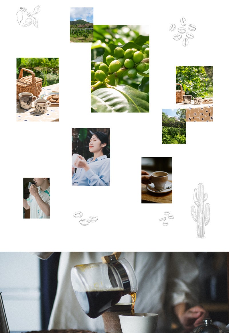 cactus coffee farm & lab