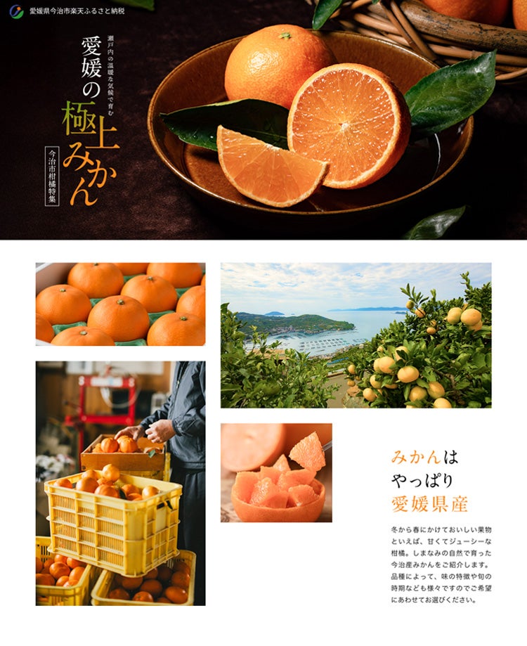 株式会社今治あきない商社